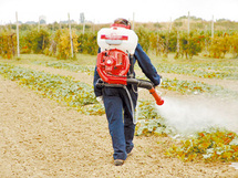 L’Agence de développement agricole sur les rails L’Agence de développement agricole sur les rails