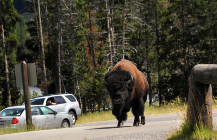 La pollution sonore, une menace environnementale dans les parcs américains La pollution sonore, une menace environnementale dans les parcs américains
