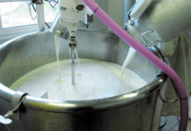 Le secteur laitier marocain se porte bien Le secteur laitier marocain se porte bien