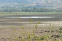 Au Guatemala, une lagune disparaît, victime du changement climatique