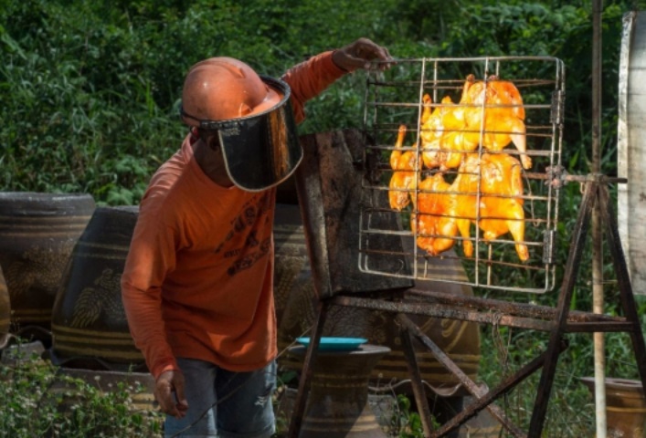 Insolite : Poulet solaire Insolite : Poulet solaire