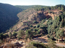 Le  Maroc dispose de la plus ancienne et importante collection de parures préhistoriques