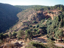 Le Maroc dispose de la plus ancienne et importante collection de parures préhistoriques Le Maroc dispose de la plus ancienne et importante collection de parures préhistoriques