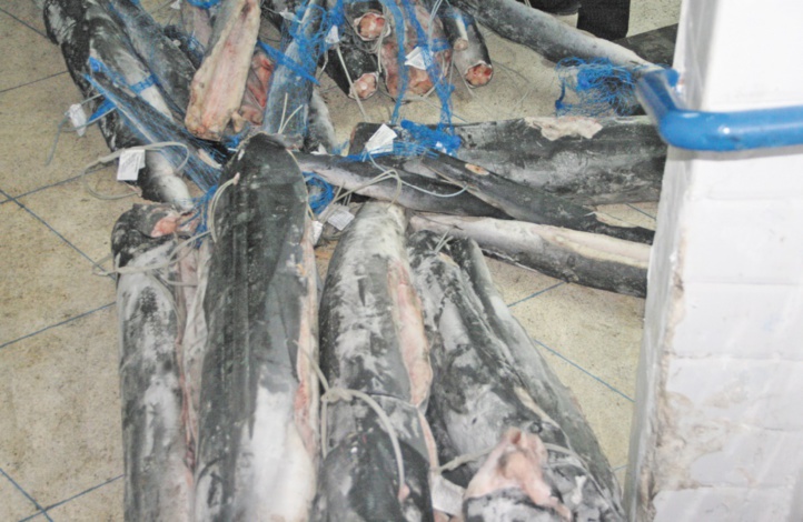 Saisie de denrées alimentaires impropres à la consommation Saisie de denrées alimentaires impropres à la consommation