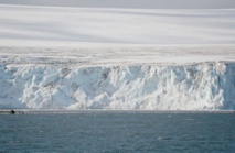 L'Antarctique verdit rapidement sous l'effet du changement climatique