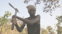 “Makala”, Grand prix de la Semaine de la critique à Cannes