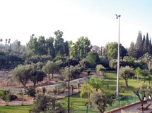 Les jardins de Marrakech : Un poumon pour la ville ocre Les jardins de Marrakech : Un poumon pour la ville ocre