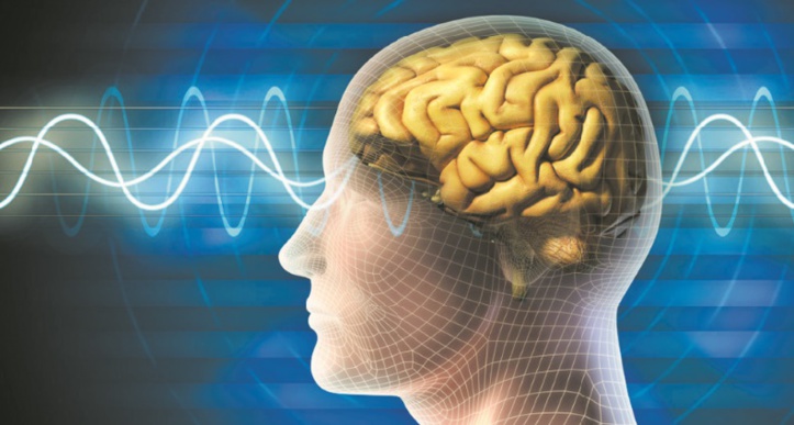 Comment prévenir le vieillissement du cerveau Comment prévenir le vieillissement du cerveau