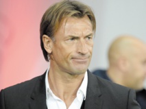 Renard pisté par Saint-Etienne Renard pisté par Saint-Etienne