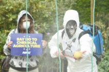 Les opposants au glyphosate revigorés par une étude scientifique Les opposants au glyphosate revigorés par une étude scientifique