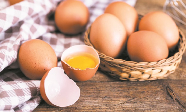 Des œufs pour une bonne croissance Des œufs pour une bonne croissance