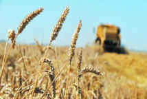 Hausse de la facture des importations alimentaires mondiales Hausse de la facture des importations alimentaires mondiales