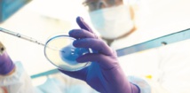 Les cellules reprogrammées iPS utiles pour toutes les maladies