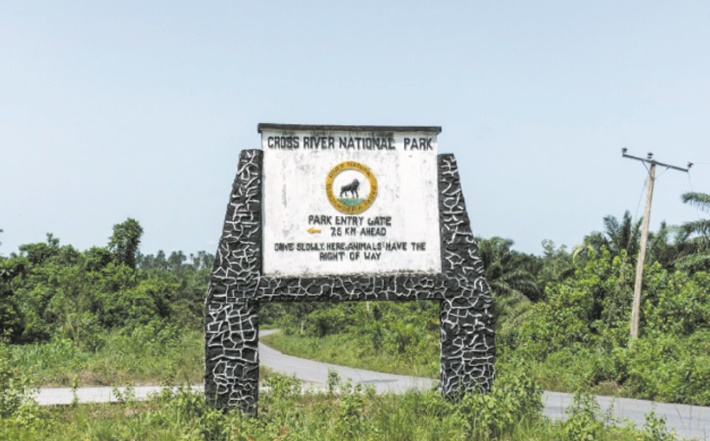 Cross River Park, le dernier eden du Nigeria menacé