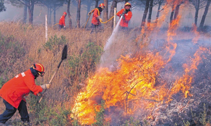 Le Portugal endeuillé lutte toujours et s'interroge Le Portugal endeuillé lutte toujours et s'interroge