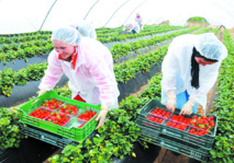 Amélioration de la croissance au premier trimestre Amélioration de la croissance au premier trimestre