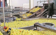 Améliorer le positionnement du Maroc sur le marché africain des produits agroalimentaires Améliorer le positionnement du Maroc sur le marché africain des produits agroalimentaires