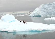 Réchauffement climatique : La réunion de Bonn pour préparer le traité post-Kyoto Réchauffement climatique : La réunion de Bonn pour préparer le traité post-Kyoto