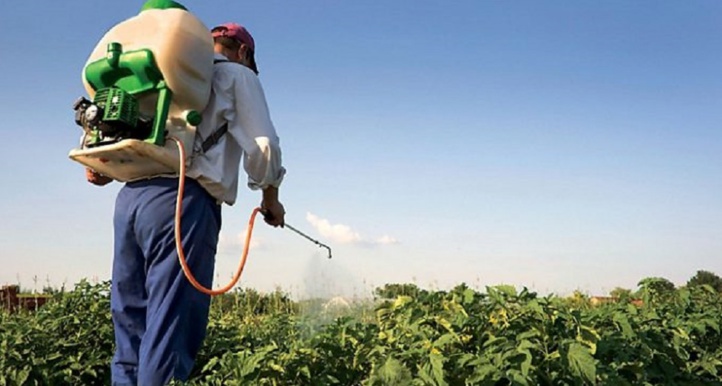 Les pesticides, un danger fatal Les pesticides, un danger fatal
