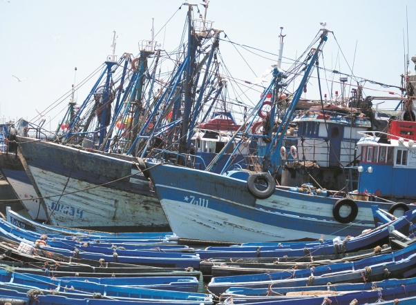 Progression de 7% de la production de la pêche côtière et artisanale en 2016