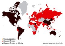 L'OMS tire à nouveau la sonnette d'alarme sur la grippe A/H1N1 : Quid du Maroc ? L'OMS tire à nouveau la sonnette d'alarme sur la grippe A/H1N1 : Quid du Maroc ?