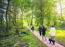 Un jardin suisse pour soigner des troubles psychiques en Pologne