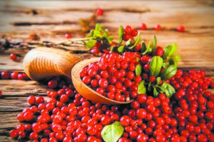 Les cranberries pour le bien-être intestinal