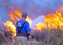 Les feux de forêt continuent  à faire rage à travers le monde