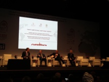 Un aréopage d’experts internationaux échange sur les statistiques environnementales