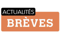 Brèves Brèves
