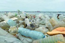 Des milliards de tonnes de plastique s'accumulent dans la nature