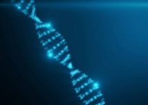 Les Libanais descendent des Cananéens Les Libanais descendent des Cananéens