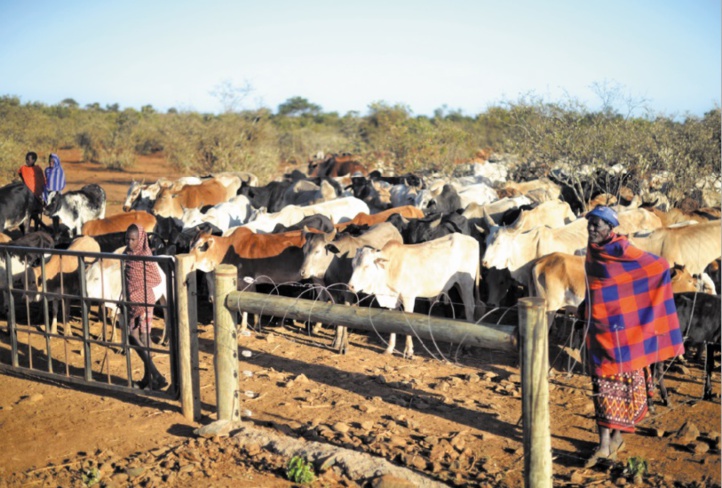 Deux éleveurs semi-nomades défendent leur mode de vie Deux éleveurs semi-nomades défendent leur mode de vie