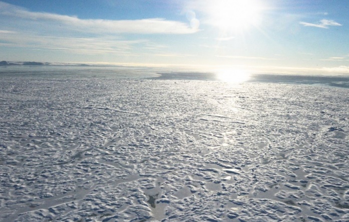 2016 année noire pour le climat