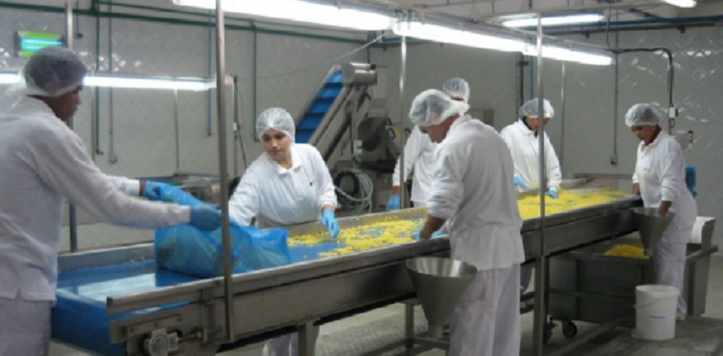 L’ICC et l’OMC lancent l’initiative “Small Business Champions” L’ICC et l’OMC lancent l’initiative “Small Business Champions”