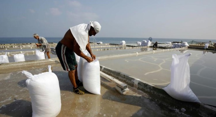 Au Liban, d'irréductibles paludiers défendent leurs derniers marais Au Liban, d'irréductibles paludiers défendent leurs derniers marais