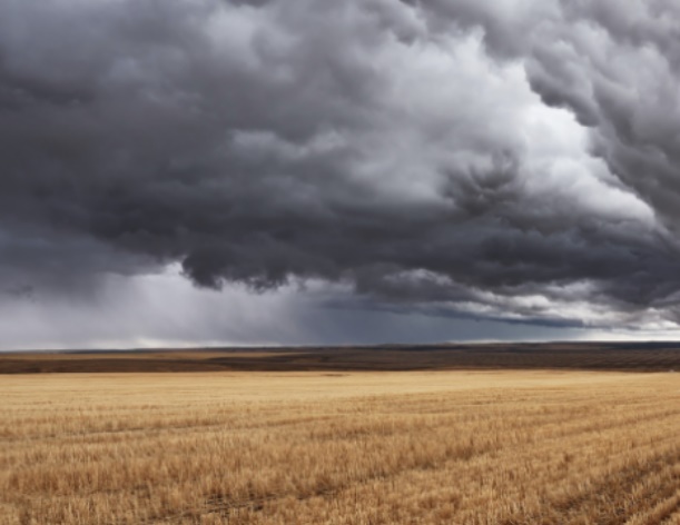 Le changement climatique va réduire les rendements agricoles