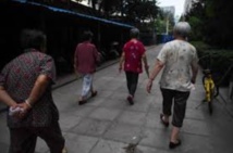 Insolite : Terreur grise Insolite : Terreur grise