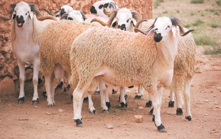 Les budgets des ménages sous haute pression Les budgets des ménages sous haute pression