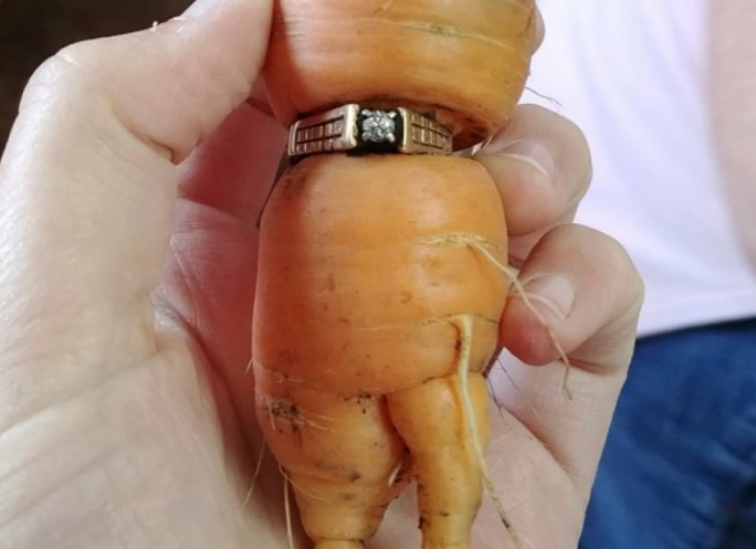 Insolite : Précieuse bague
