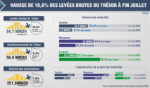 Hausse des levées brutes du Trésor à fin juillet Hausse des levées brutes du Trésor à fin juillet