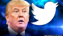 Une ancienne membre de la CIA veut racheter Twitter pour en exclure Trump Une ancienne membre de la CIA veut racheter Twitter pour en exclure Trump