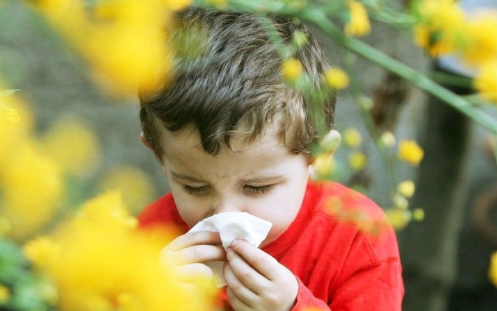Réponses d’expert : C’est vrai qu’il y a moins d’allergies à la montagne? Réponses d’expert : C’est vrai qu’il y a moins d’allergies à la montagne?