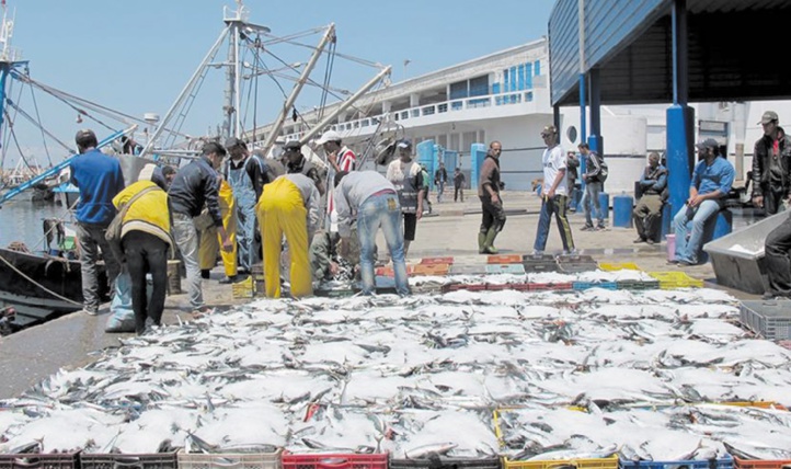 Une étude pointe le manque de compétitivité du secteur de la pêche artisanale Une étude pointe le manque de compétitivité du secteur de la pêche artisanale