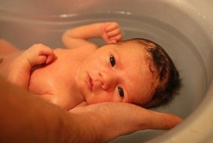 Probiotique: une bactérie prévient des infections graves du nouveau-né Probiotique: une bactérie prévient des infections graves du nouveau-né