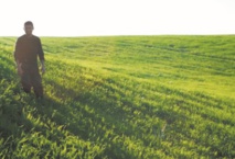 Meknès abritera en septembre un symposium international sur l’agriculture de conservation Meknès abritera en septembre un symposium international sur l’agriculture de conservation