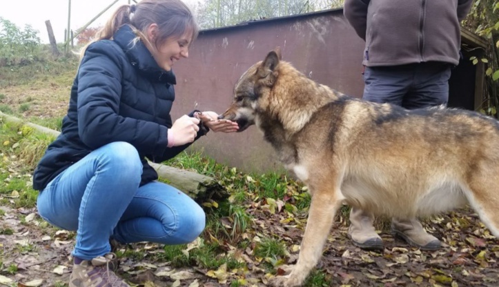 Quand des managers se jettent dans la gueule du loup Quand des managers se jettent dans la gueule du loup