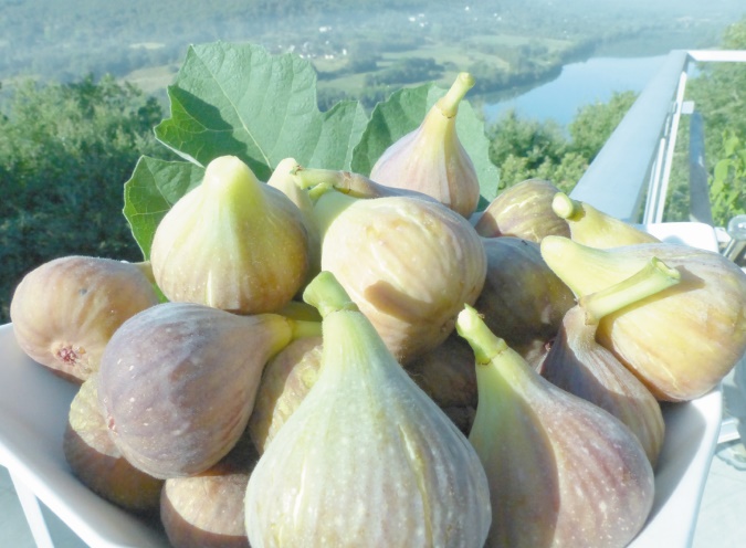 Quatrième Festival national des figues à Taounate