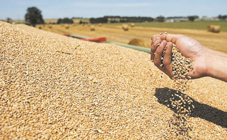 Baisse des prix des produits alimentaires au mois d’août Baisse des prix des produits alimentaires au mois d’août