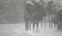 Insolite : "Ne tirez pas sur Irma"